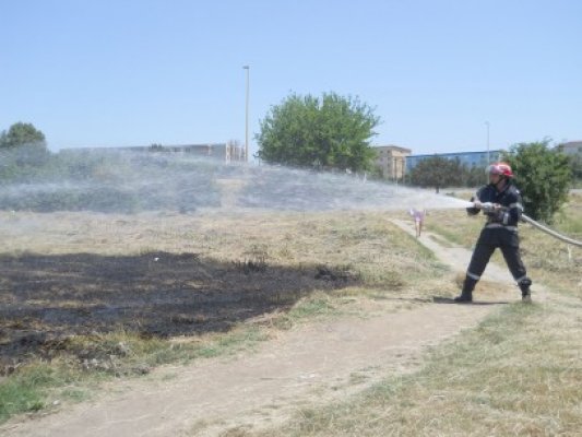 Incendiu la vegetaţia uscată de lângă târgul auto